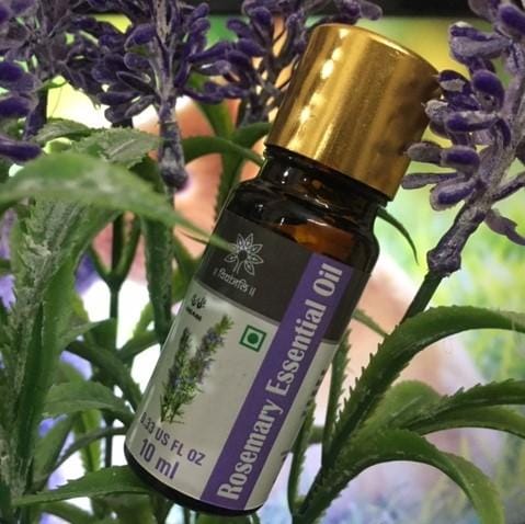 Rosemary Essential Oil